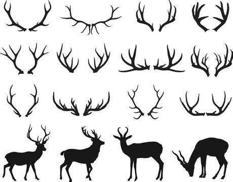 Deer Antler Silhouette