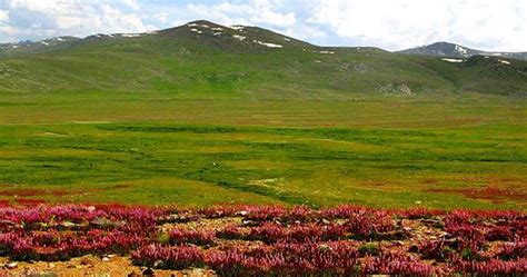 Deosai Plains Tour - Incredible Pakistan