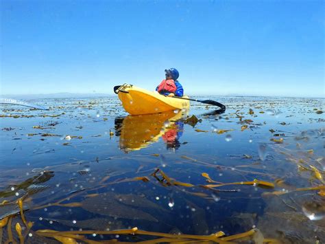 A Family Adventure: Channel Islands Kayaking with Kids - No Back Home