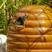 Ceramic Bumblebee and Mammal Nester - Ark Wildlife UK