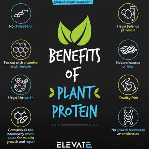 Benefits of Plant Protein