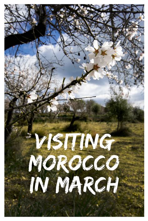 Visiting Morocco in March