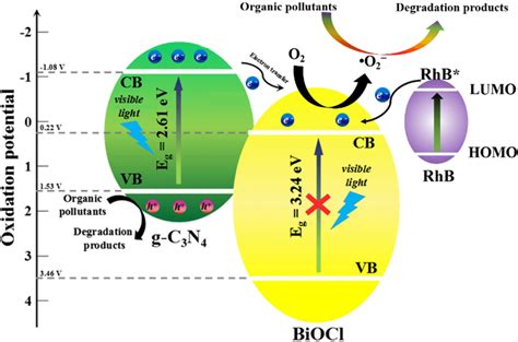 The possible photocatalytic mechanism of BiOCl/g-C3N4 heterojunction... | Download Scientific ...