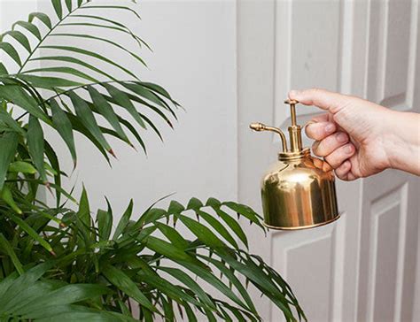 Brass Plant Mister – Kikkerland Design Inc