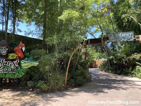 Review! Is Rainforest Cafe in Disney World’s Animal Kingdom a ROAR or a SNORE? - Disney by Mark