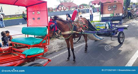 Surakarta, Indonesia, January 8, 2023 Dokar Wisata or Chariot Joyride in Sunday Car Free Day ...