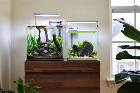 6 Best Cube Aquarium: Large and Nano Fish Tanks