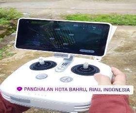 DJI Phantom 4 RTK Remote Controller | Download Scientific Diagram