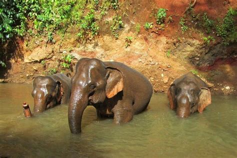 Mondulkiri - Known For Its Waterfalls, Elephant Sanctuaries, And Indigenous Culture - Cambodia Tours