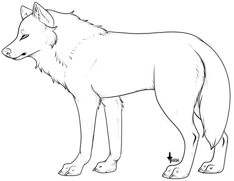 another generic wolf lineart / template by stelliformed on DeviantArt