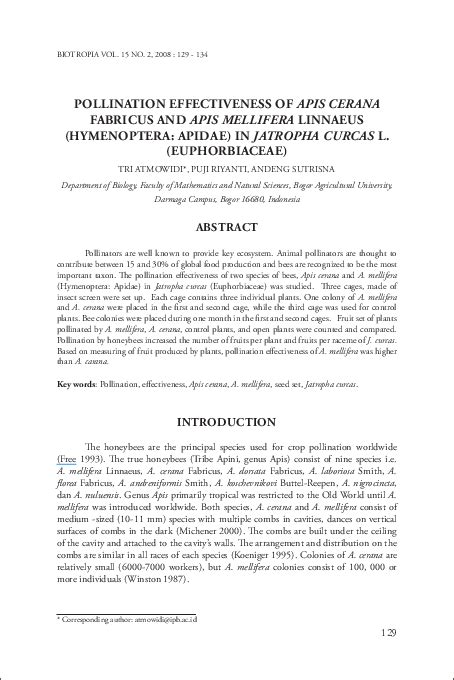 (PDF) Pollination effectiveness of Apis cerana Fabricus and Apis ...