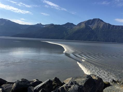 Surfing the Turnagain Arm Bore Tide, Alaska : surfing