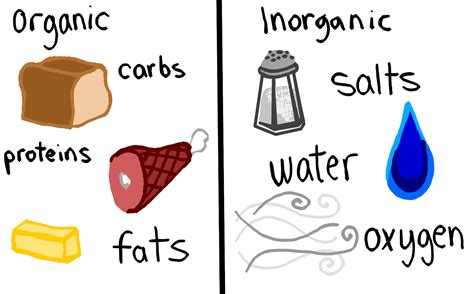 Organic vs. Inorganic Molecules - Expii