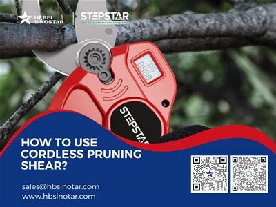 How To Use Cordless Pruning Shear? - Knowledges - News