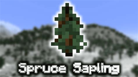 Spruce Sapling - Wiki Guide - 9Minecraft.Net