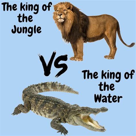 Lion Vs Crocodile Poster summer Painting by Sophia Parker | Fine Art ...