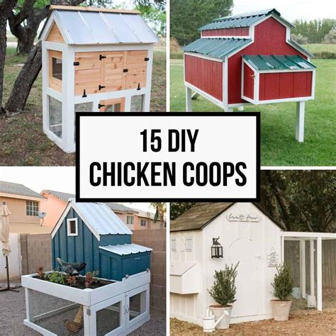 15 DIY Chicken Coop Ideas for Your Backyard Flock - The Handyman's Daughter