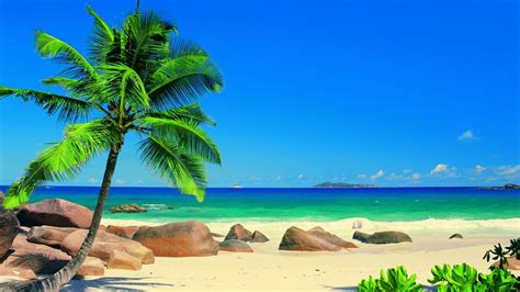 Exotic Beach Wallpaper (70+ pictures)