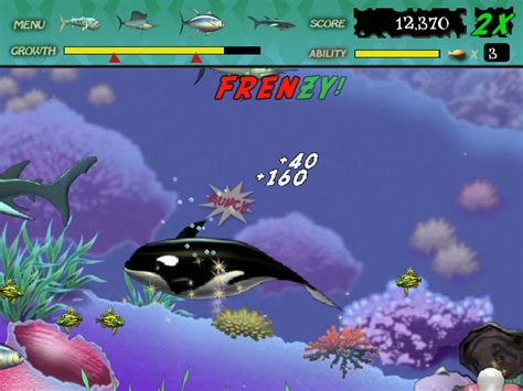 Play Feeding Frenzy > Online Games | Big Fish