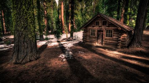 Download Man Made Cabin 4k Ultra HD Wallpaper