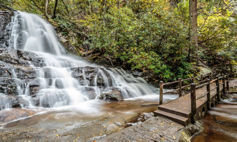 The 10 Most Picture-Perfect Waterfalls in the Smoky Mountains (& Where To Find Them) - A-Z Animals