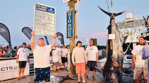 Big Rock Tournament Won By Record Size Marlin - Fishing Reports | Coastal Carolina Fisherman