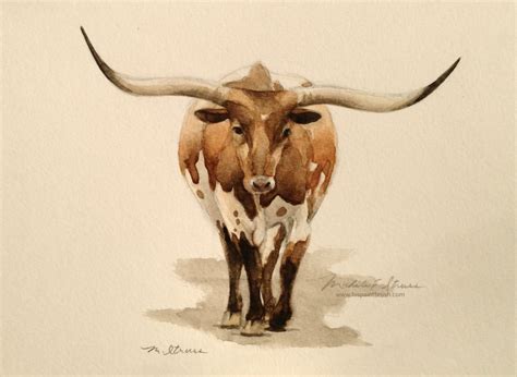 Texas Longhorn Drawing at GetDrawings | Free download