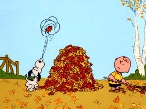 Raking Leaves in the Fall - "Happiness is a Pile of Leaves"