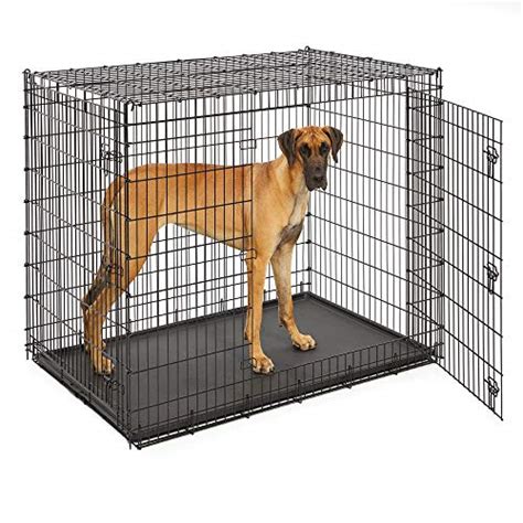 Best Dog Crate Door Latches