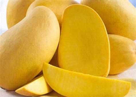 Fresh Yellow Mangoes-12 Pieces Mangifera Mekongensisstandard Shipping ...