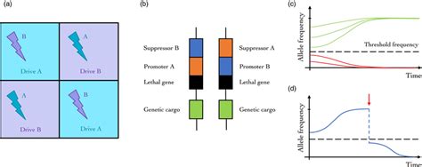 Examples of gene drive approaches in agricultural systems. (a) Example... | Download Scientific ...