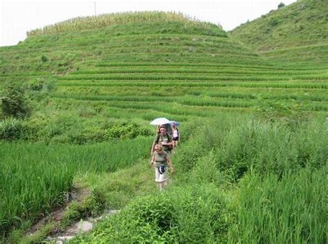 Longji Rice Terraces Hiking, Guilin Longji Rice Terraces Travel Photos, Images & Pictures of ...