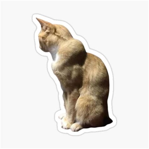 " Muscular cat meme" Sticker for Sale by redakhatib | Redbubble