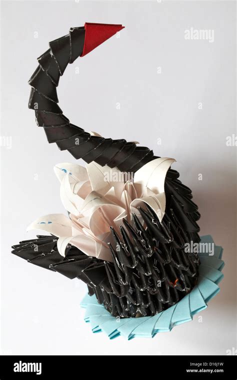 Black origami swan with flowers isolated on white background Stock ...