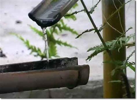 Bamboo Drip Irrigation