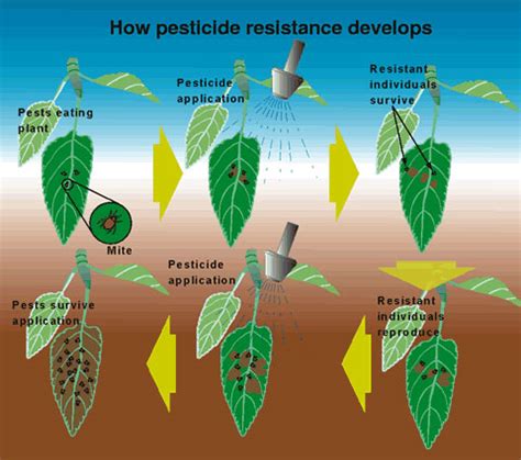 How Pesticide Resistance Develops - Cherries