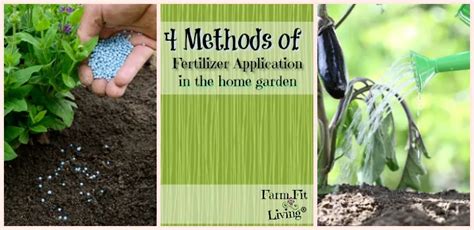 4 Methods of Fertilizer Application in the Home Garden - Farm Fit Living