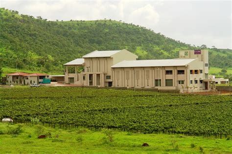 York Winery – ASIA IMPORT NEWS