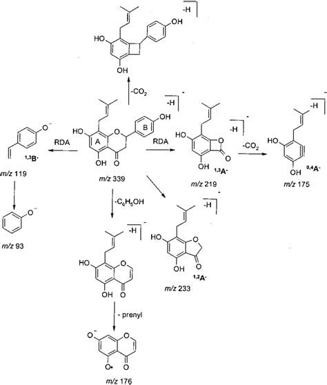 Tandem mass spectrometry fragmentation pathways of the deprotonated... | Download Scientific Diagram