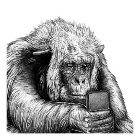 Animated gif pencil drawing of a miniature chimpanzee or bonobo money on iphone/phone scrolling ...