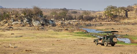 Ruaha National Park - Ruaha River Lodge