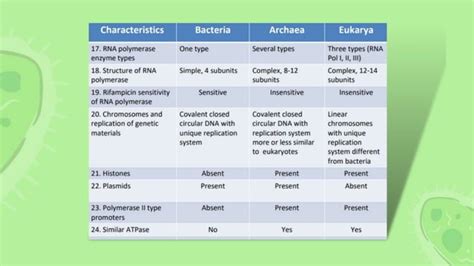 DIFFERENCES BETWEEN EUBACTERIA, ARCHAEBACTERIA AND EUKARYOTES.pptx