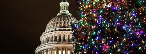 Where to See the Best Christmas Trees in Washington, DC – Happily Ever ...