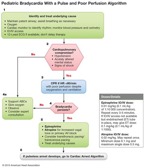 Sinus Bradycardia Acls Algorithm