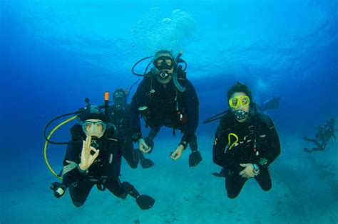 Epic Underwater Photography: Capturing the Magic of Aqaba's Depths ...