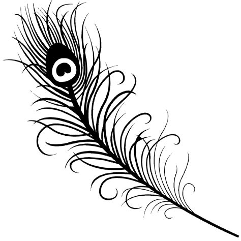 Peacock Feather Png | Free download on ClipArtMag