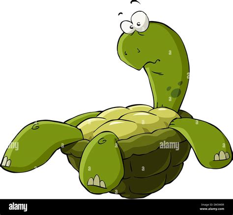 Cartoon turtle on the back vector illustration Stock Vector Image & Art - Alamy