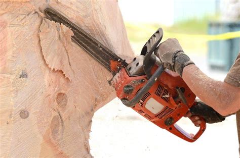 Chainsaw Wood Carving For Beginners - Epic Saw Guy