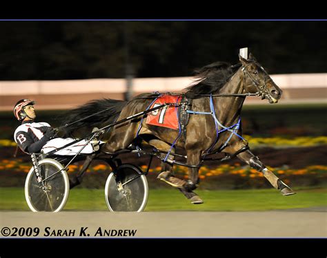 Harness Racing at Saratoga Raceway | I had a great time visi… | Flickr