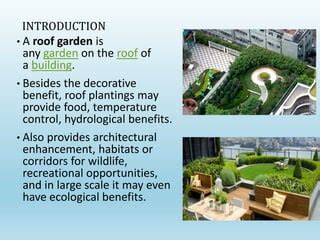Roof Garden | PPT